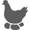 Poultry Farms